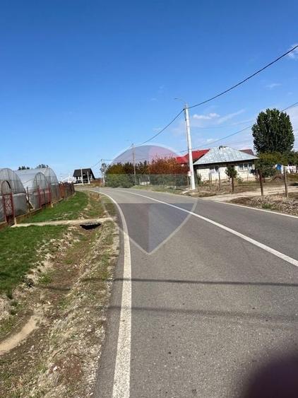 Teren agricol intravilan de 4000 mp, în Crivăț