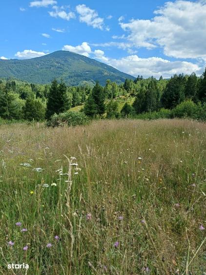 Teren de 15000 mp, în Uric
