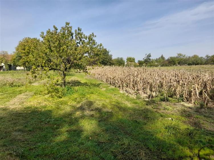 Casă cu 2 camere cu Teren 4960 Mp în Crestur