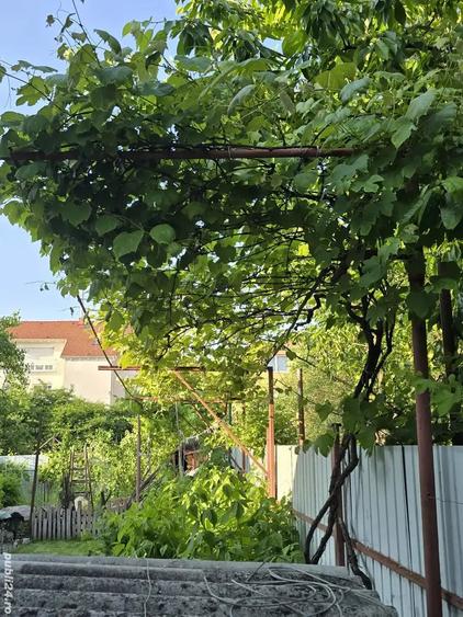 Casă cu 5 camere cu Teren 460 Mp în Calea Dumbrăvii