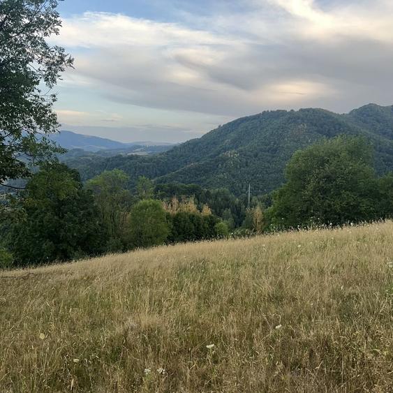 Casă cu 4 camere cu Teren 9000 Mp în Săcuieu