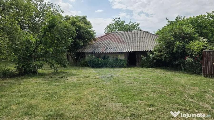 Domeniu rural, gospodarie/multifunctionala cu casa, livad... - 10