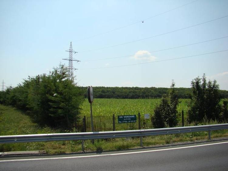 Teren intravilan de 57708 mp, în Vest