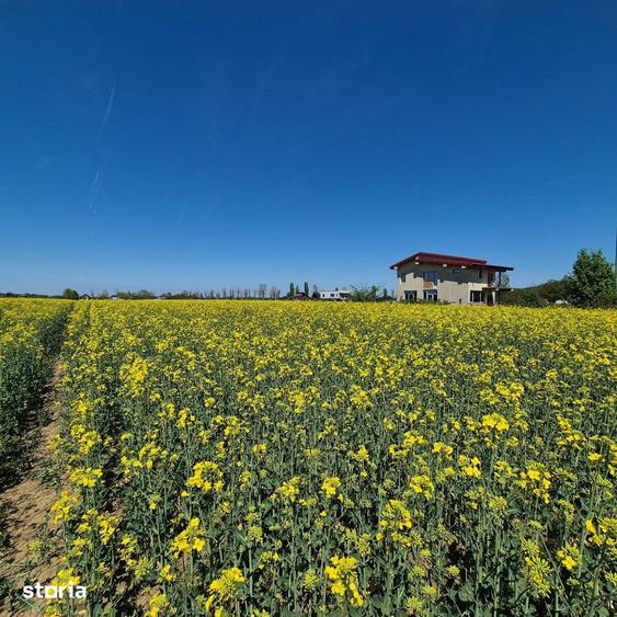 Teren de 5000 mp, în Ciolpani
