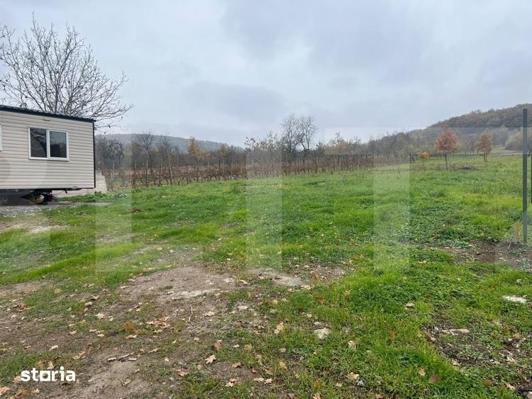 Teren de 6365 mp, în Beliu