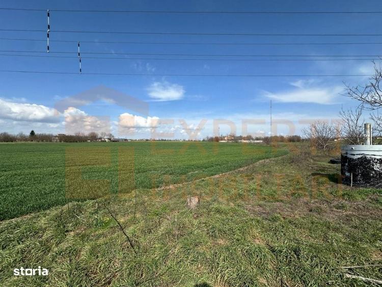 Teren de vanzare 18.000 mp | Deschidere la DN | Ideal investitie - 12