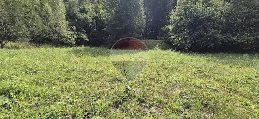 Teren de 2800 mp, în Schitu Tarcău