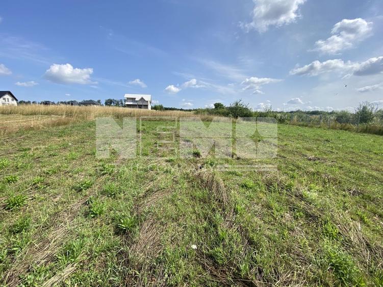 Teren Construcții intravilan de 2452 mp, în Voievodeasa