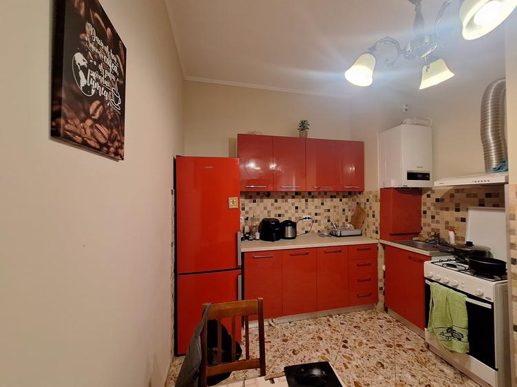 Apartament spatios cu 1 camera-complet renovat, mobilat si utilat-zona Traian - 10