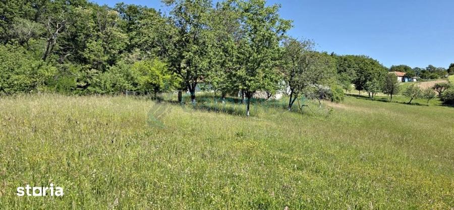Casă cu 4 camere cu Teren 2670 Mp în Vârciorog