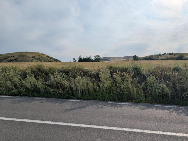 Sărata- lângă Mun. Bacău- 4000 mp- oportunitate investiție - 10