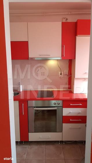 Inchiriere apartament 1 camera Centru, langa Platinia Mall/ USAMV - 8