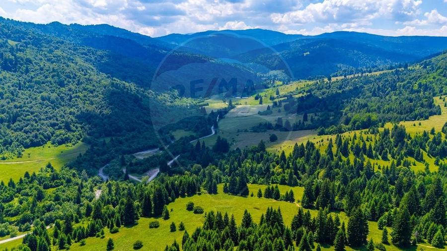 Teren Construcții intravilan de 18900 mp, în Brădet