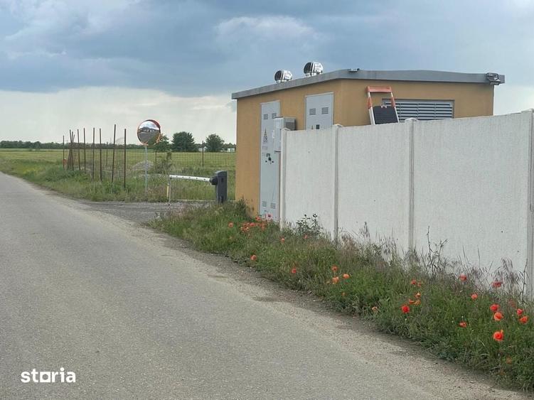 Teren de 5000 mp, în Corbeanca