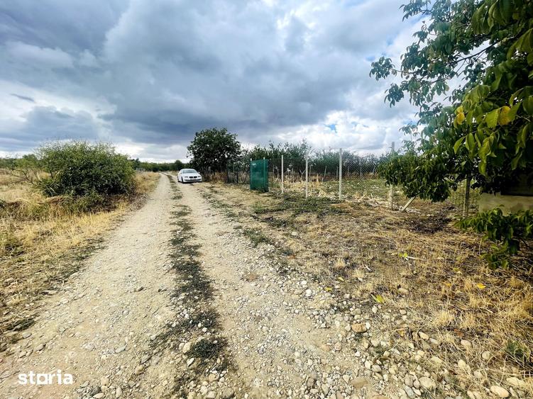 Teren de 2200 mp, în Paleu