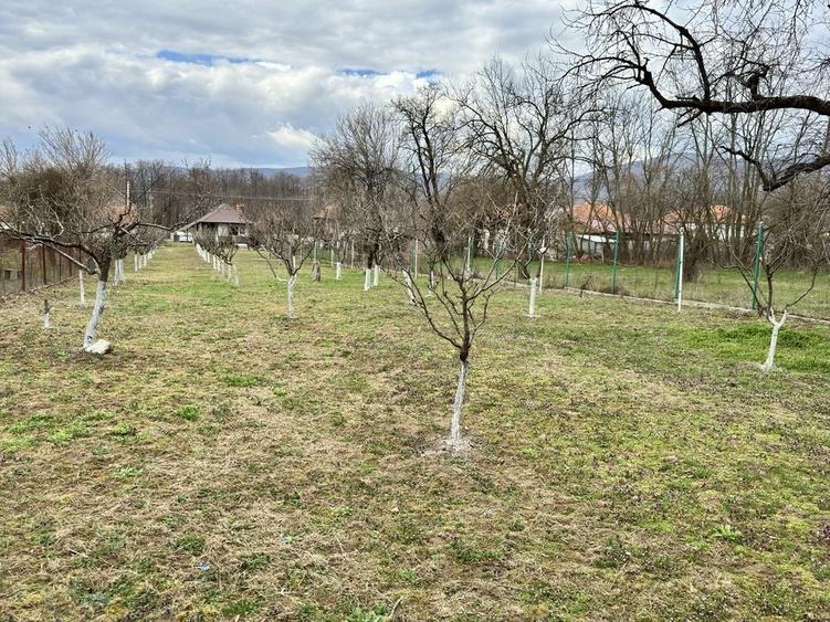 Casă cu 2 camere în Alexeni