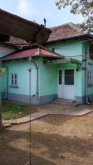 Casă cu Teren 5000 Mp în Grojdibodu