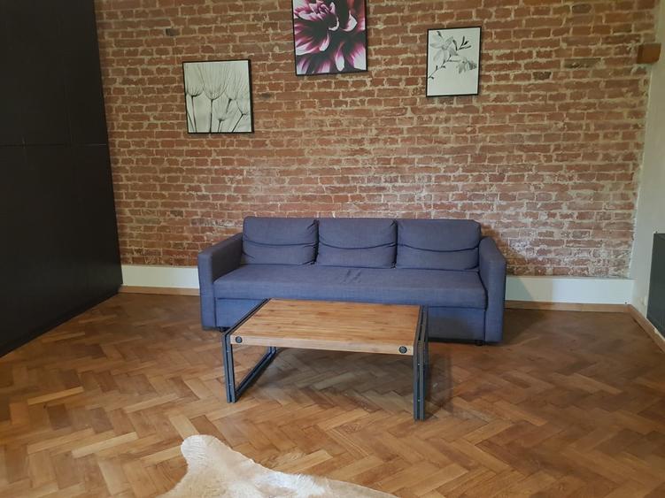 Apartament modern de închiriat zona UMF si USAMV - 9