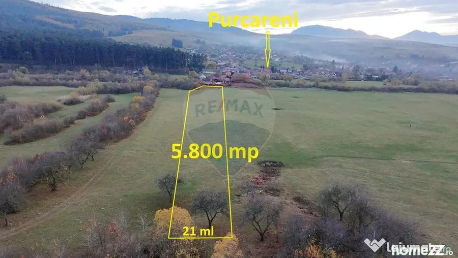 Teren de 5800 mp, în Purcăreni
