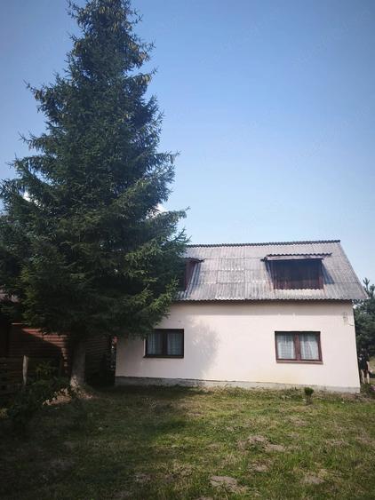 Teren de 800 mp, în Beliș