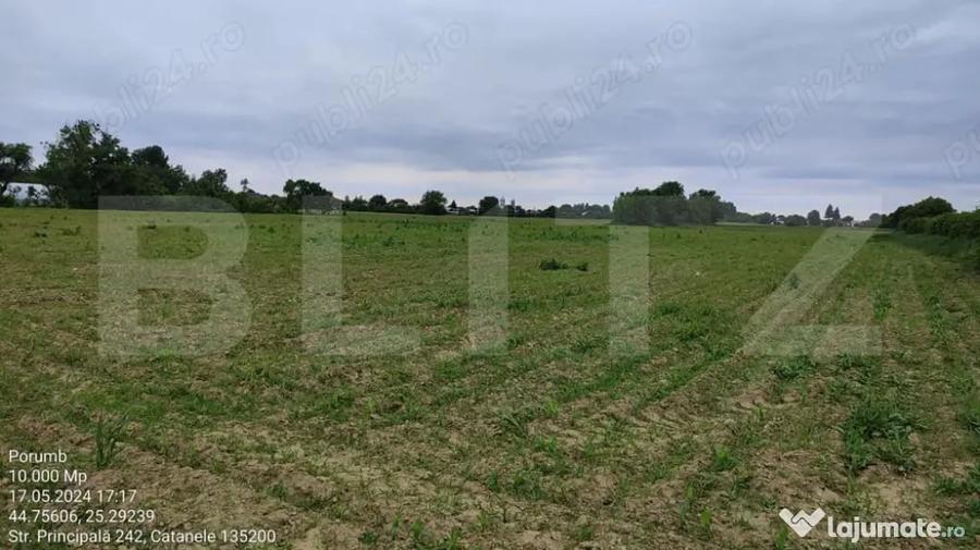 Teren 1 hectar Intravilan + Extravilan | Acces facil | P - 4