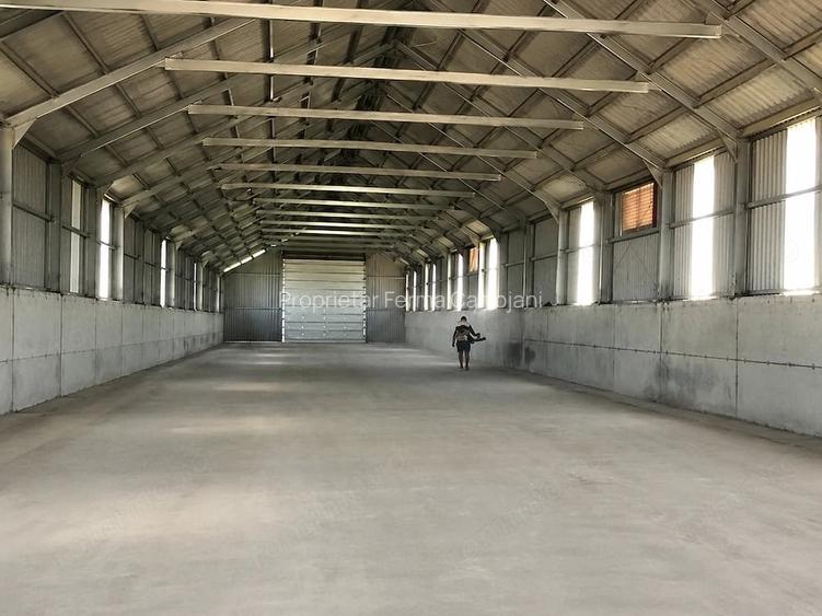 Teren 4,7 ha | Hala 770 mp | Cartojani, Giurgiu | Acces TIR