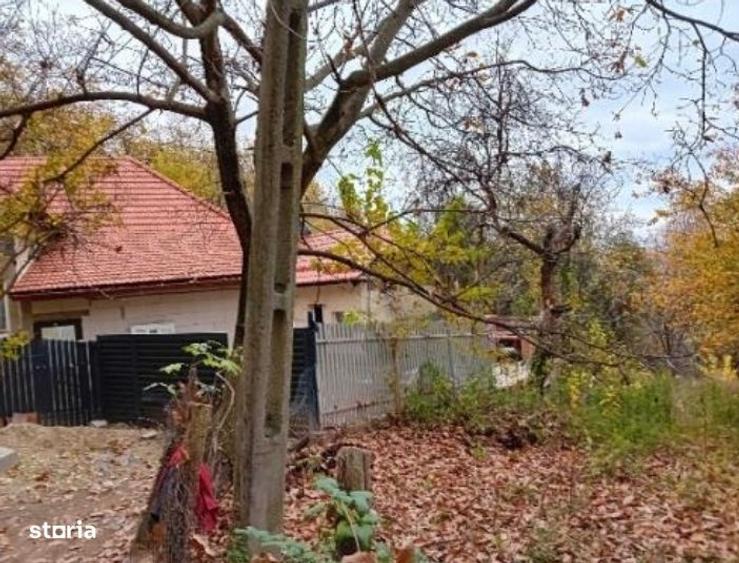 Casă cu 2 camere în Dobriceni