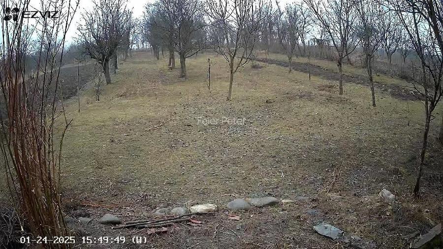 Casă cu 2 camere cu Teren 2680 Mp în Măceu