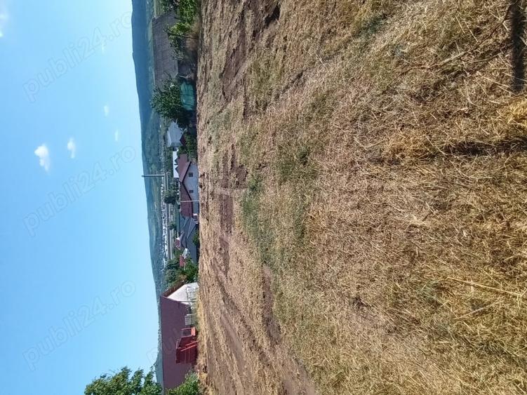 Teren de 1249 mp, în Holboca