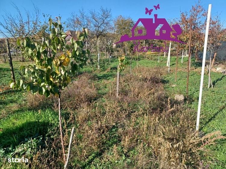 Casă cu 1 camere în Șauaieu