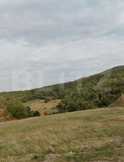 Teren de 1500 mp, în Central