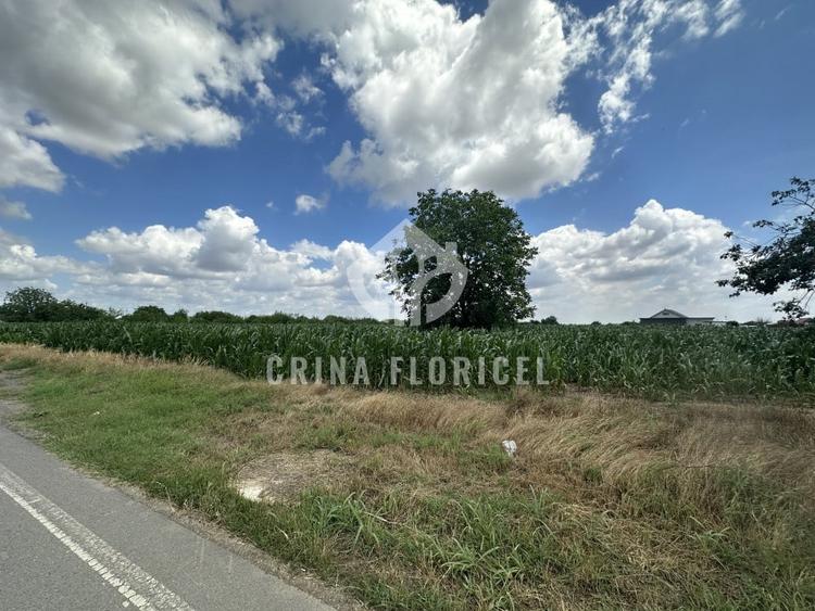 Teren Construcții intravilan de 2965 mp, în 1 Decembrie
