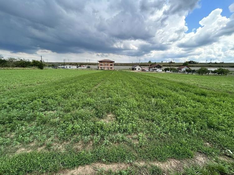 Teren de 1400 mp, în Vințu de Jos