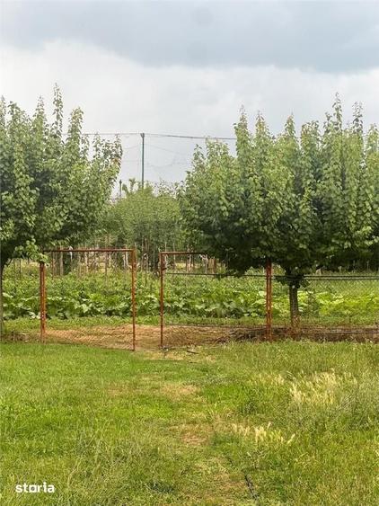 Casă cu 4 camere cu Teren 2200 Mp în Tileagd