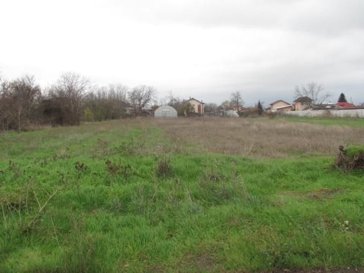 Teren Construcții intravilan de 4000 mp, în Cornetu