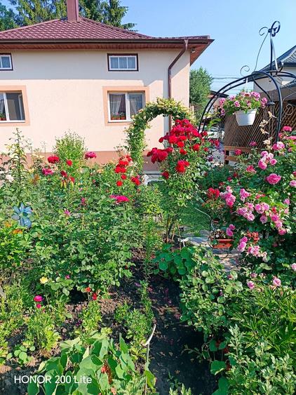 Casă cu 2 camere cu Teren 380 Mp în Central