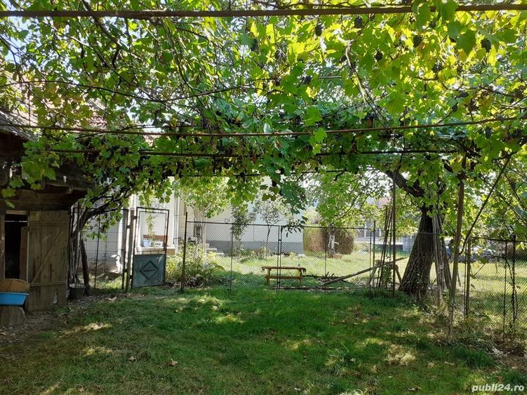 Casa cu teren ?i anexe - 4