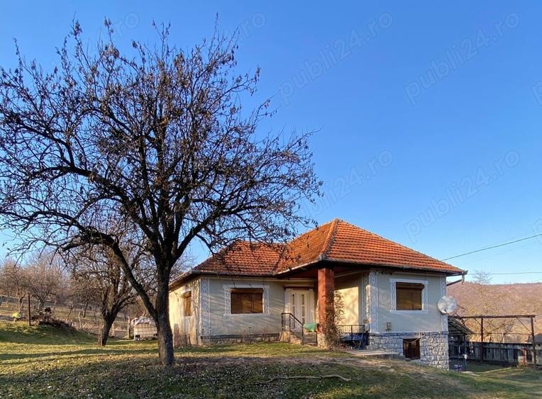 Casă cu 5 camere cu Teren 8000 Mp în Ciucea