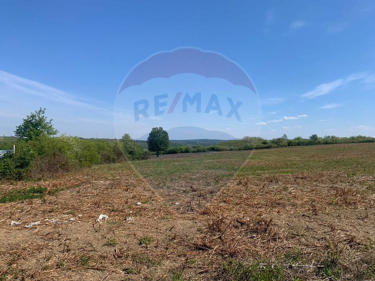 Teren Construcții intravilan de 1628 mp, în Paleu