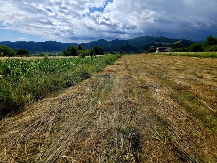 Teren de 600 mp, în Viișoara
