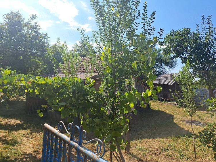 Casă cu 3 camere cu Teren 2850 Mp în Stângăceaua