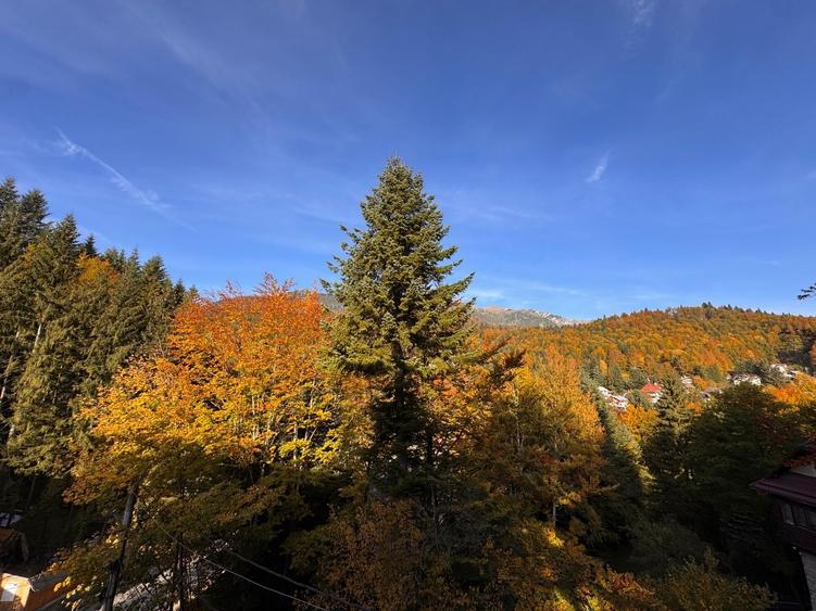 Penthouse cu 5 camere decomandat în Furnica