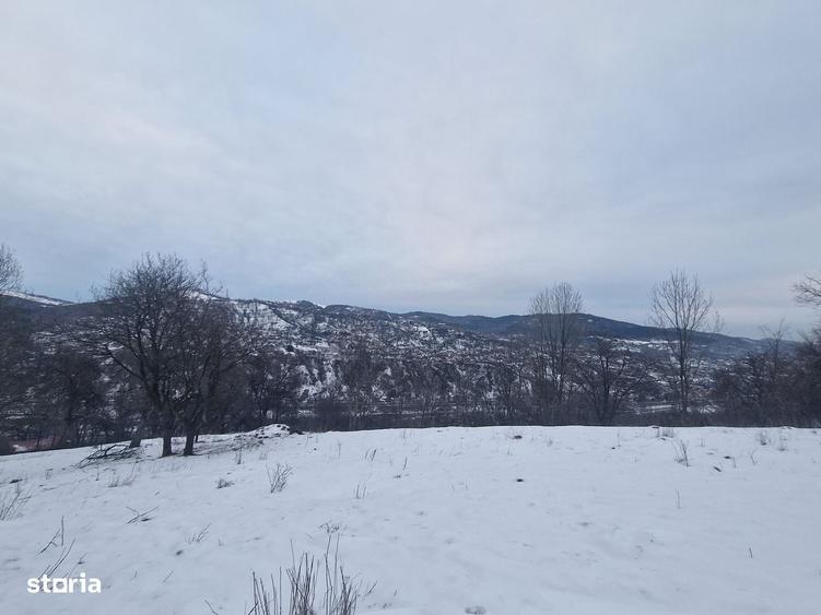 Casă cu 4 camere cu Teren 12000 Mp în Central