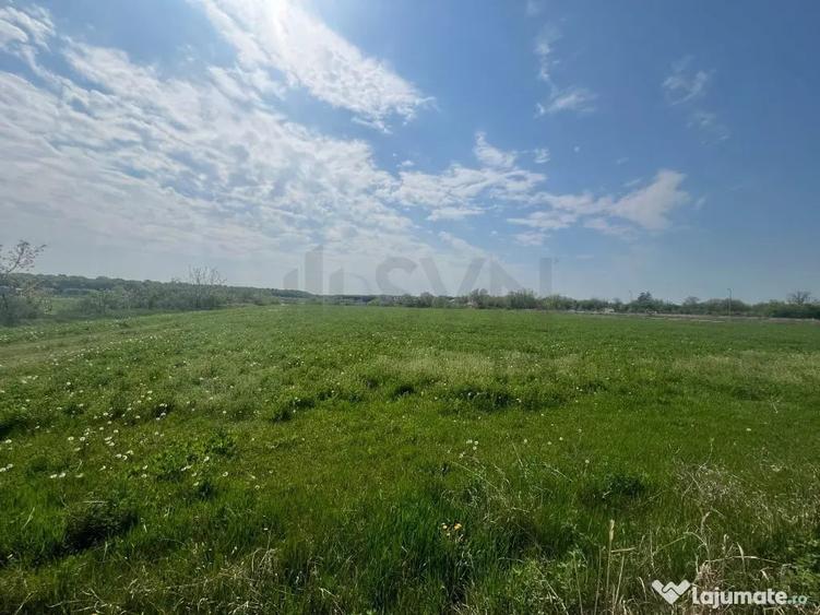 Teren de 15000 mp, în Snagov