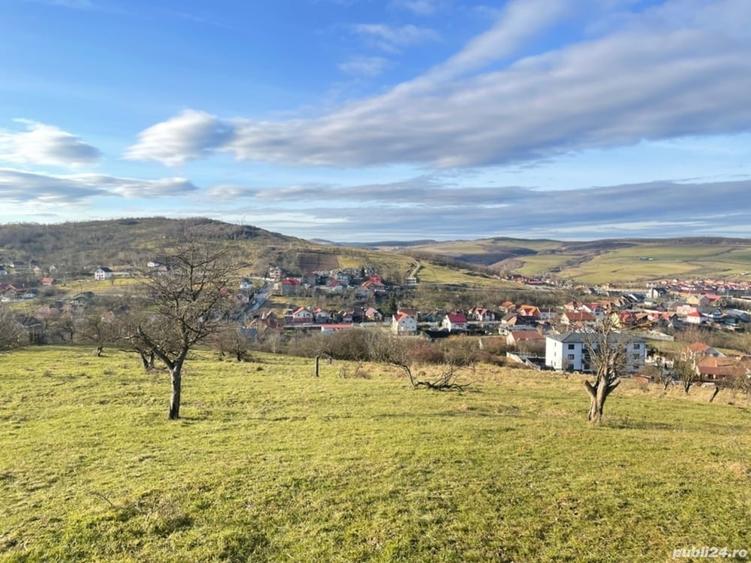 Teren de 16663 mp, în Central