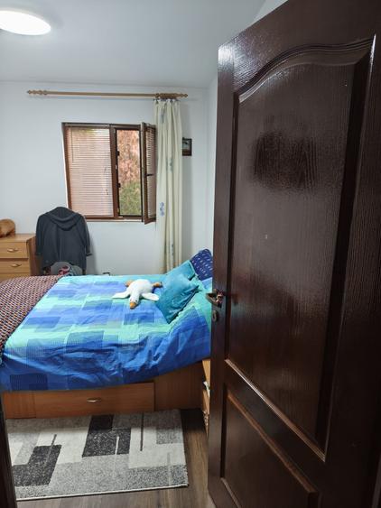 Casă individuală cu 4 camere cu Teren 11000 Mp în Central