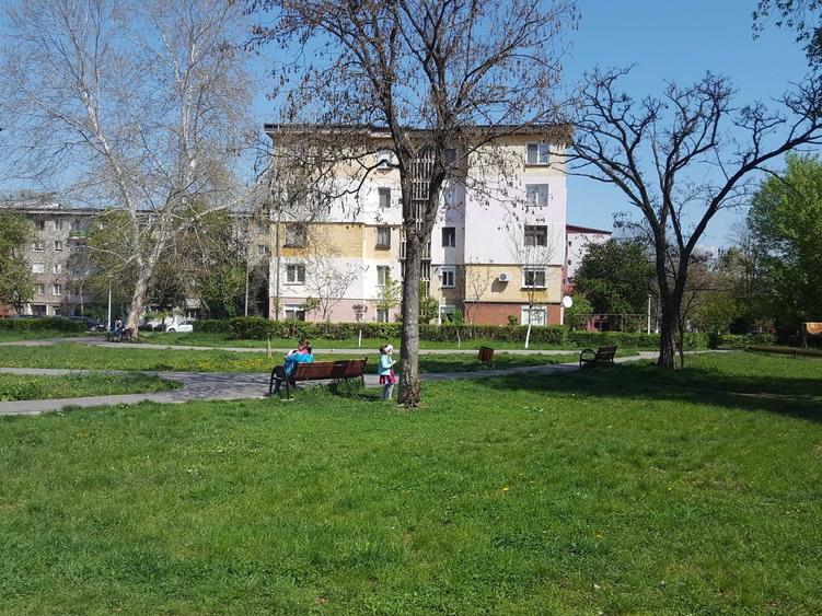 Spațiu comercial, în Almașu Mic