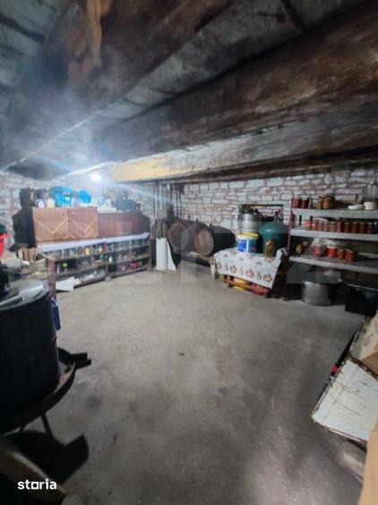 Casă cu 5 camere cu Teren 5000 Mp în Monor