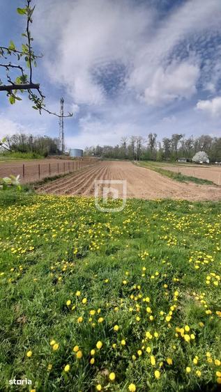 Casa 5 camere, 2.800 mp teren, Darmane?ti 13 km Suceava - 13