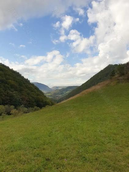 Teren de 8500 mp, în Hărțăgani